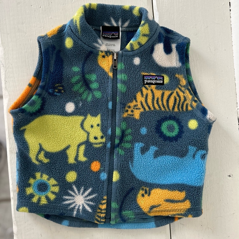 Patagonia fleece vest